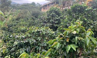 VENDE FINCA PRODUCTIVA EN SASAIMA