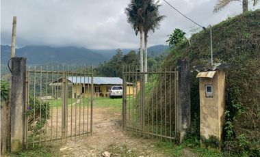 VENDE FINCA PRODUCTIVA EN SASAIMA