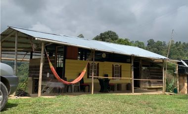 VENDE FINCA PRODUCTIVA EN SASAIMA