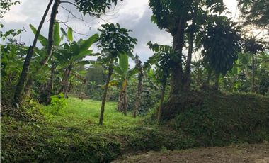 VENDE FINCA PRODUCTIVA EN SASAIMA