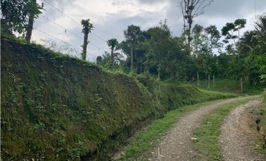 VENDE FINCA PRODUCTIVA EN SASAIMA