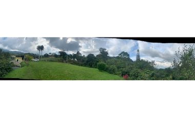 VENDE FINCA PRODUCTIVA EN SASAIMA