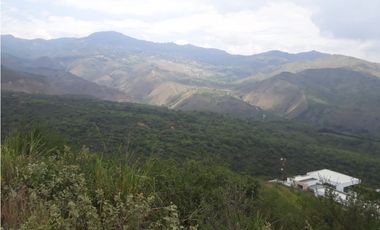 ARROYOALTO DAPA CON AGUA EXCELENTE VISTA