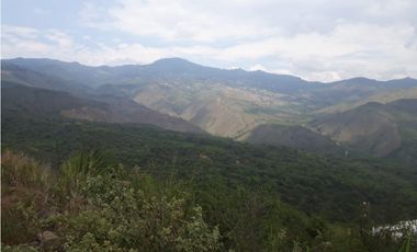 ARROYOALTO DAPA CON AGUA EXCELENTE VISTA