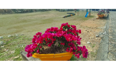 Venta de apartamento duplex de 130 M2 en 380 mill en La Mesa Cund, COL