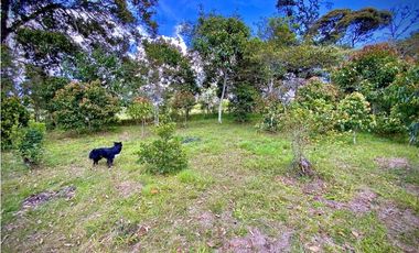 Lote Parcelacion Via San Antonio La Ceja (Carmen de Viboral)