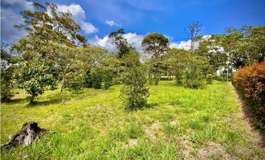 Lote Parcelacion Via San Antonio La Ceja (Carmen de Viboral)