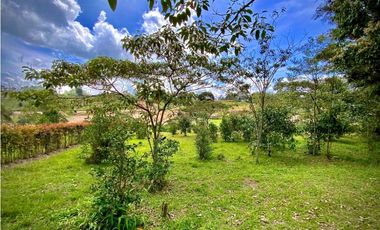 Lote Parcelacion Via San Antonio La Ceja (Carmen de Viboral)