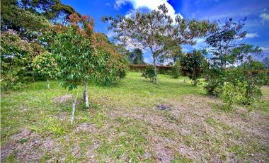 Lote Parcelacion Via San Antonio La Ceja (Carmen de Viboral)