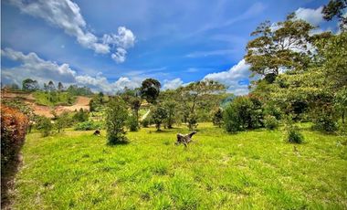 Lote Parcelacion Via San Antonio La Ceja (Carmen de Viboral)
