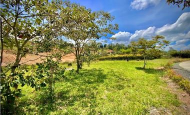Lote Parcelacion Via San Antonio La Ceja (Carmen de Viboral)