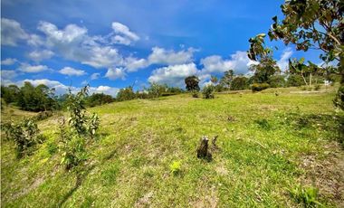 Lote Parcelacion Via San Antonio La Ceja (Carmen de Viboral)
