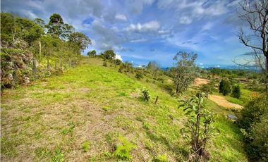 Lote Parcelacion Via San Antonio La Ceja (Carmen de Viboral)