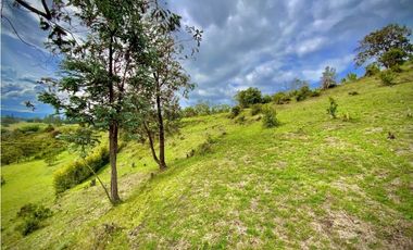 Lote Parcelacion Via San Antonio La Ceja (Carmen de Viboral)