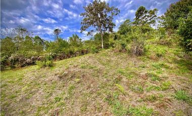 Lote Parcelacion Via San Antonio La Ceja (Carmen de Viboral)
