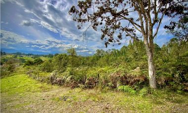 Lote Parcelacion Via San Antonio La Ceja (Carmen de Viboral)
