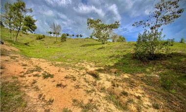 Lote Parcelacion Via San Antonio La Ceja (Carmen de Viboral)
