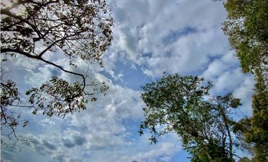 Lote Parcelacion Via San Antonio La Ceja (Carmen de Viboral)