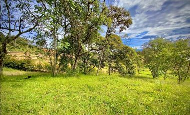 Lote Parcelacion Via San Antonio La Ceja (Carmen de Viboral)