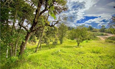 Lote Parcelacion Via San Antonio La Ceja (Carmen de Viboral)