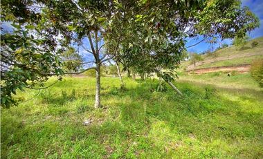 Lote Parcelacion Via San Antonio La Ceja (Carmen de Viboral)