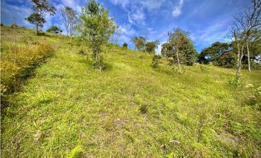 Venta Lote Parcelacion Via San Antonio La Ceja (Carmen de Viboral)