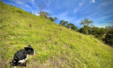 Venta Lote Parcelacion Via San Antonio La Ceja (Carmen de Viboral)