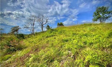 Venta Lote Parcelacion Via San Antonio La Ceja (Carmen de Viboral)