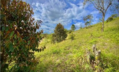 Venta Lote Parcelacion Via San Antonio La Ceja (Carmen de Viboral)