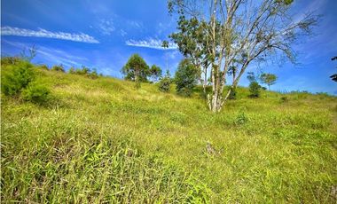 Venta Lote Parcelacion Via San Antonio La Ceja (Carmen de Viboral)