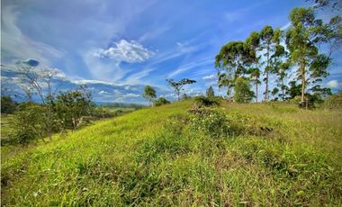 Venta Lote Parcelacion Via San Antonio La Ceja (Carmen de Viboral)