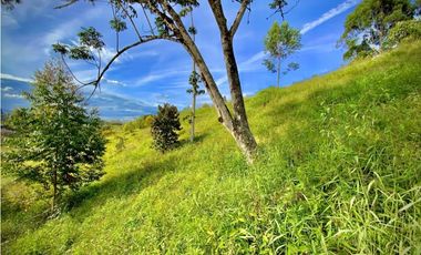 Venta Lote Parcelacion Via San Antonio La Ceja (Carmen de Viboral)