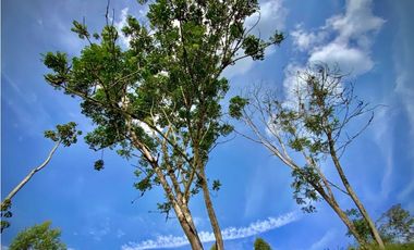 Venta Lote Parcelacion Via San Antonio La Ceja (Carmen de Viboral)