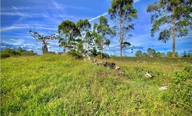 Venta Lote Parcelacion Via San Antonio La Ceja (Carmen de Viboral)