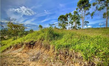 Venta Lote Parcelacion Via San Antonio La Ceja (Carmen de Viboral)