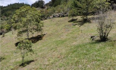 Venta De Lote En El Retiro