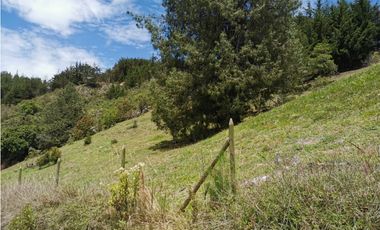 Venta De Lote En El Retiro