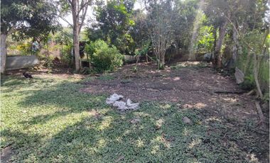 VENDO CASA LOTE EN LA MAGDALENA