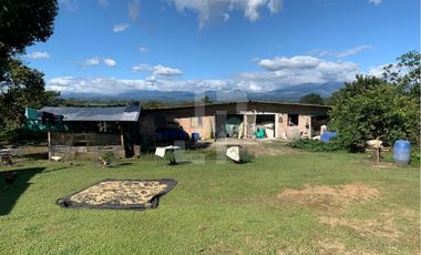 VENDO FINCA PRODUCTIVA A 5 MIN DE POPAYAN