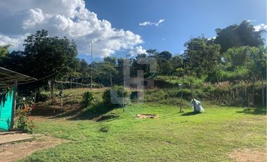 VENDO FINCA PRODUCTIVA A 5 MIN DE POPAYAN