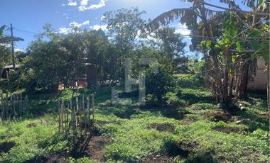 VENDO FINCA PRODUCTIVA A 5 MIN DE POPAYAN