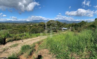 VENDO FINCA PRODUCTIVA A 5 MIN DE POPAYAN
