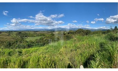 VENDO FINCA PRODUCTIVA A 5 MIN DE POPAYAN