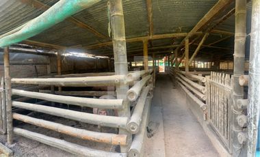 VENDO FINCA PRODUCTIVA A 5 MIN DE POPAYAN