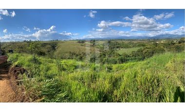 VENDO FINCA PRODUCTIVA A 5 MIN DE POPAYAN