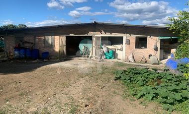 VENDO FINCA PRODUCTIVA A 5 MIN DE POPAYAN