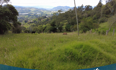 Vendo Lote de 5035 mts en Tabio Rio Frio Occidental