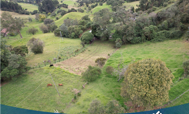 Vendo Lote de 5035 mts en Tabio Rio Frio Occidental