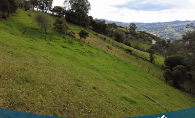 Vendo Lote de 5035 mts en Tabio Rio Frio Occidental