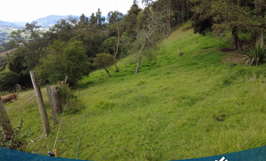 Vendo Lote de 5035 mts en Tabio Rio Frio Occidental